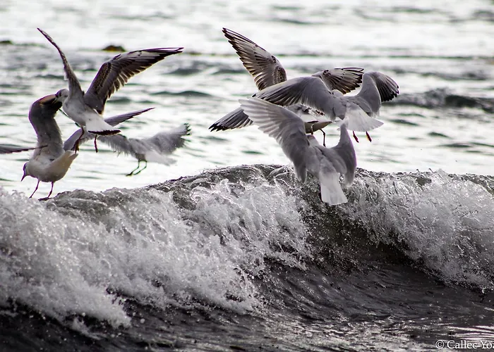 De La Gare Готель